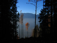 N&auml;he von Cislon